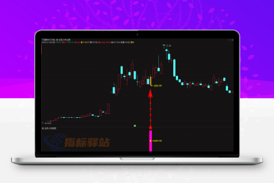 通达信【金色小妖】套装指标