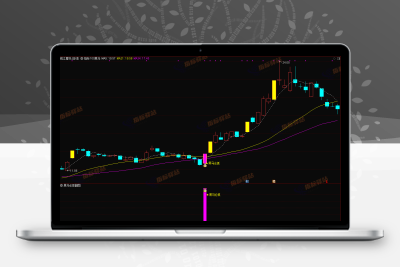 通达信《黑马必抓》套装指标，帮您抓大黑马，无未来！