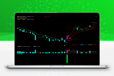 通达信《飞龙在天》全套指标，源码风险、在某音上价值 598 元！