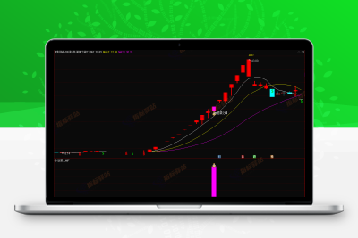 通达信《逆袭之峰》套装指标，主做涨停回调后的再次拉升！