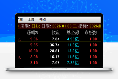 通达信《金龙竞价排序》2026新版，永久使用，源码分享